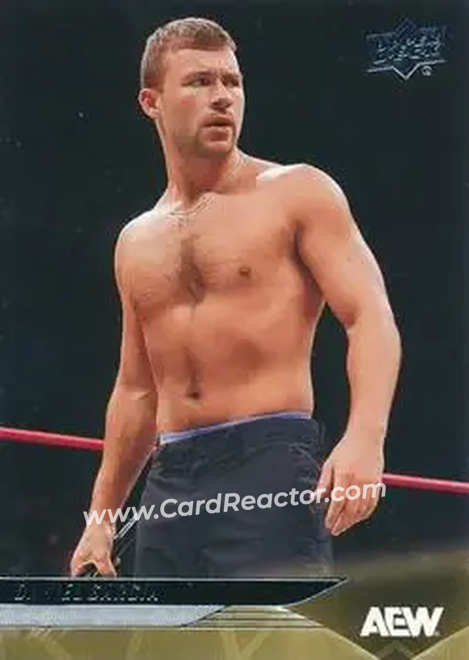 2025 Upper Deck AEW #7 - Daniel Garcia