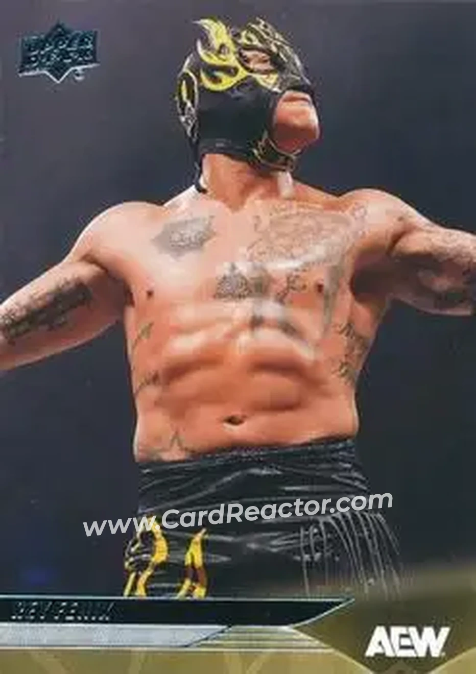 2025 Upper Deck AEW #14 - Rey Fenix
