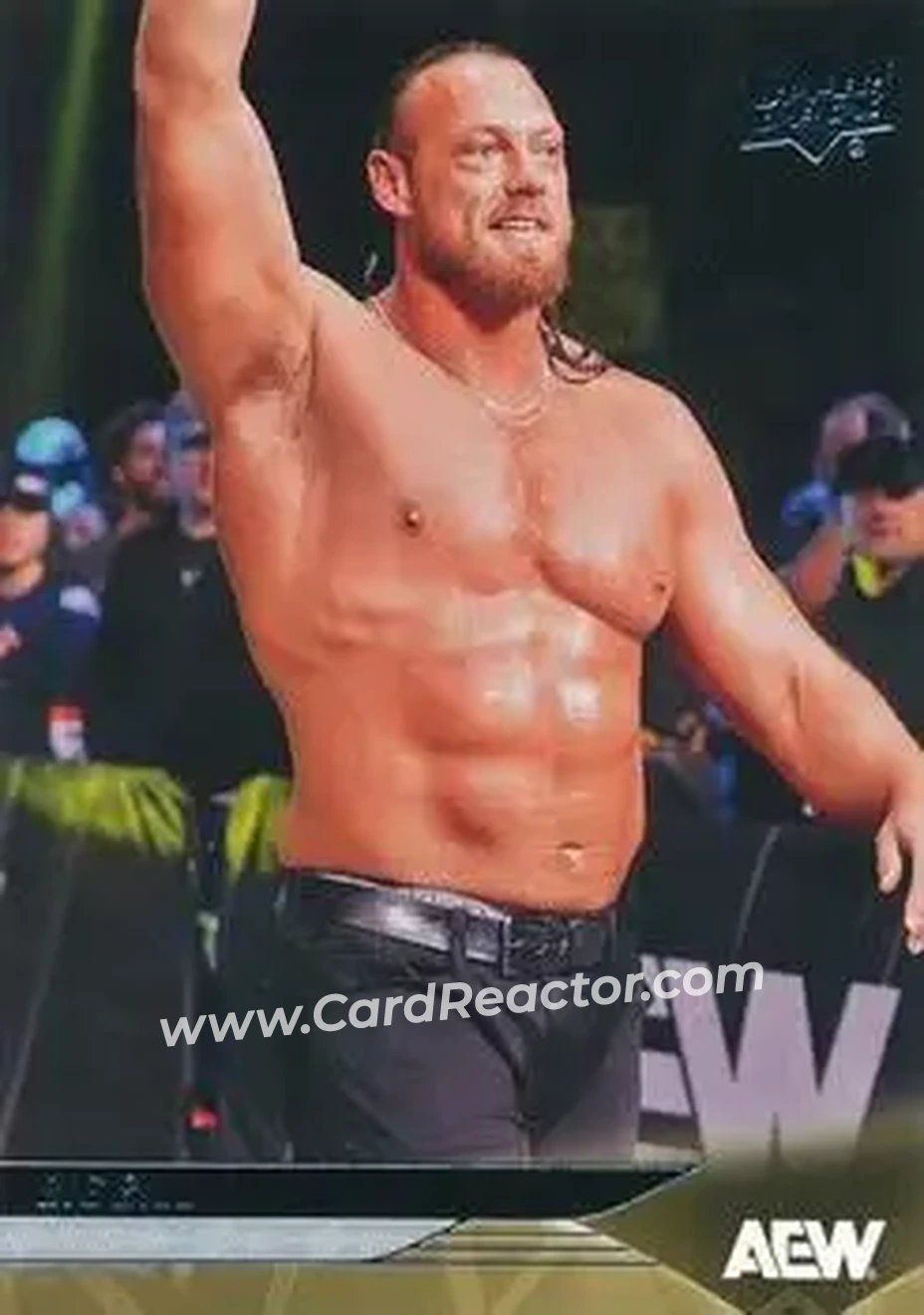 2025 Upper Deck AEW #21 - Big Bill