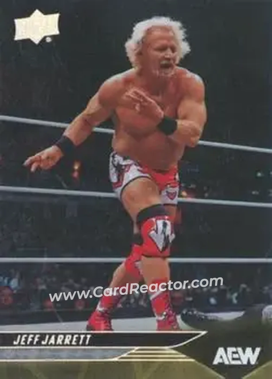 2025 Upper Deck AEW #24b - Jeff Jarrett