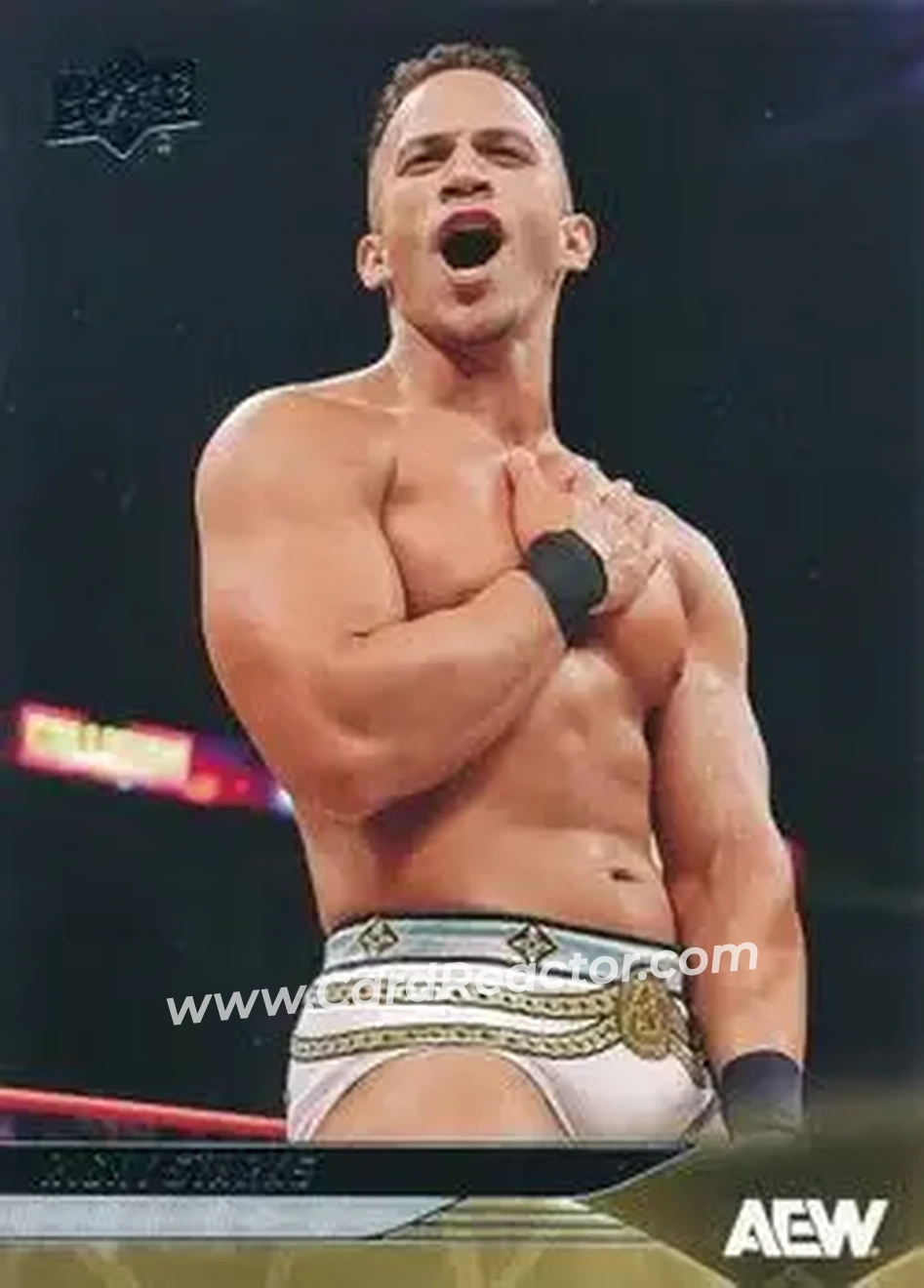 2025 Upper Deck AEW #46 - Ricky Saints