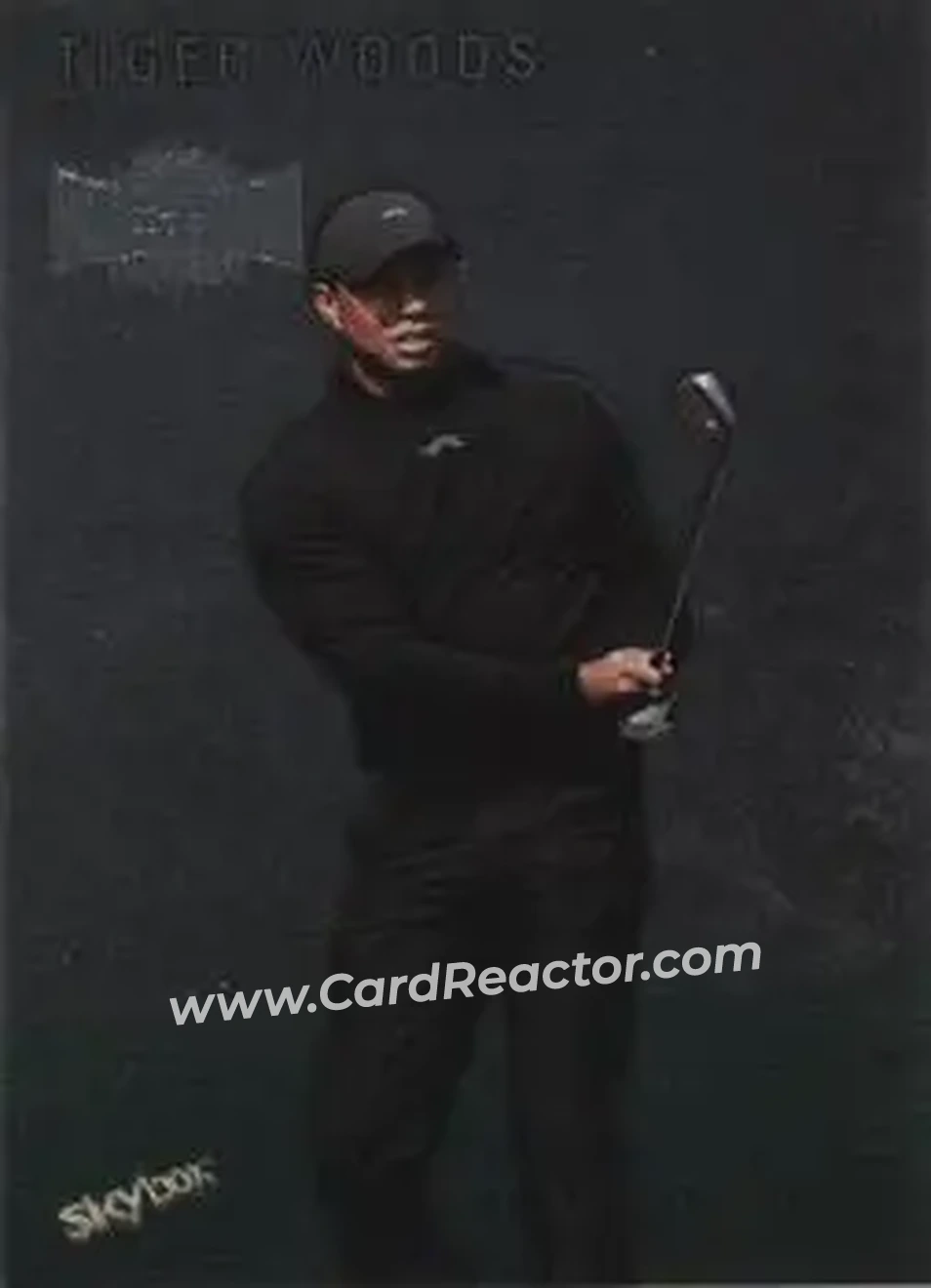 2024 SkyBox Metal Universe Champions - 1999-00 Retro #RMU-2 - Tiger Woods
