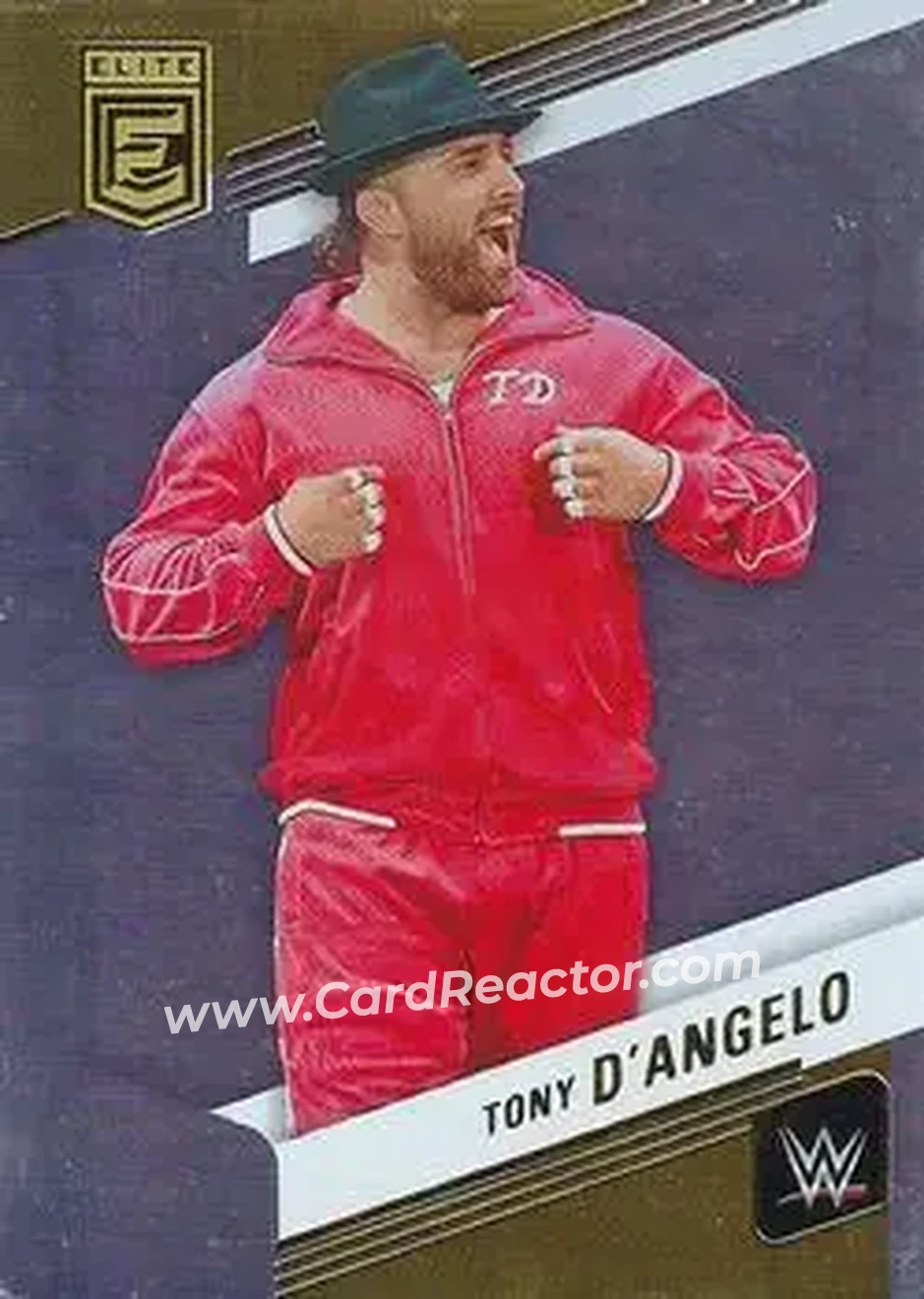 2023 Donruss Elite WWE #1 - Tony D'Angelo