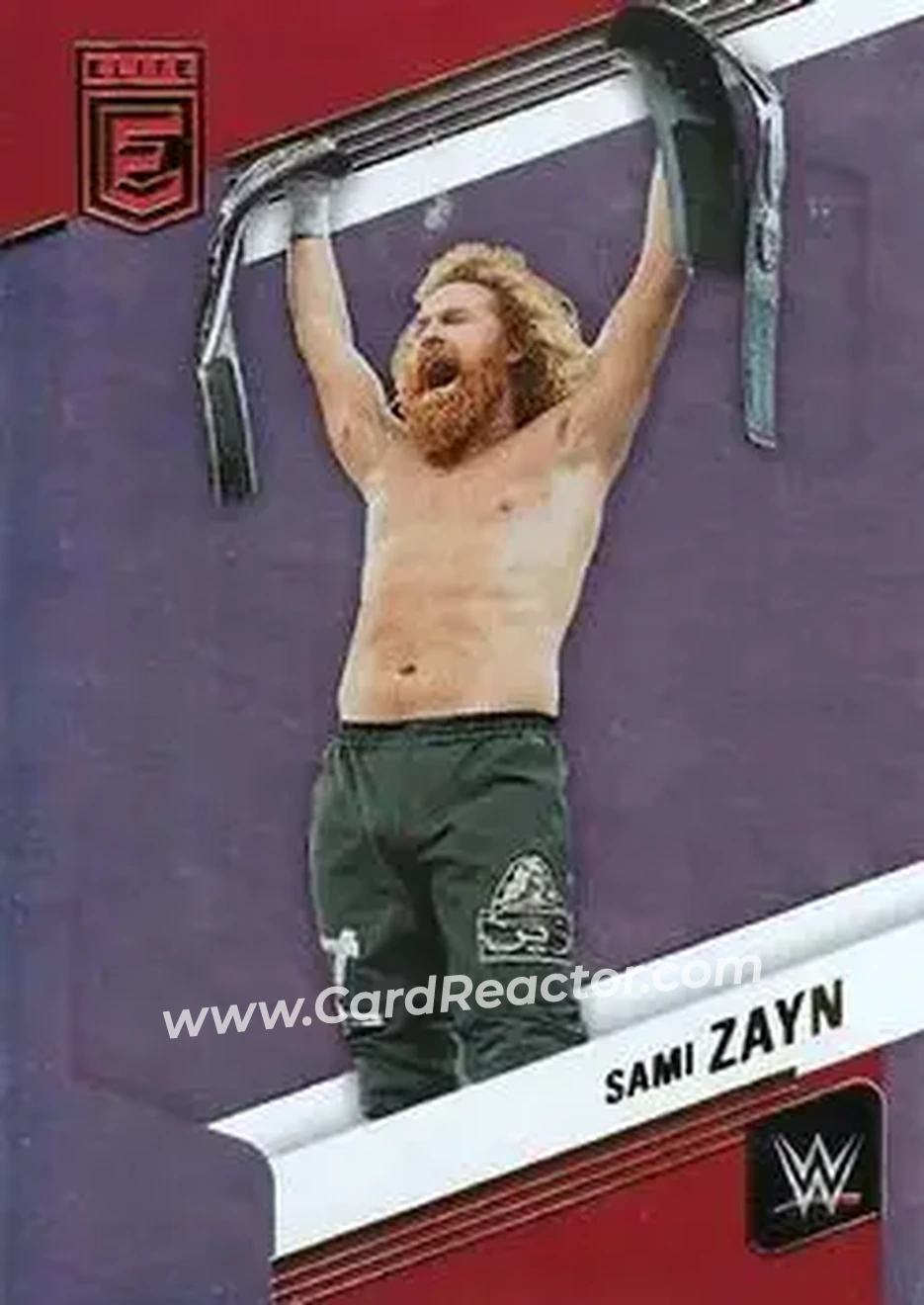 2023 Donruss Elite WWE #8 - Sami Zayn