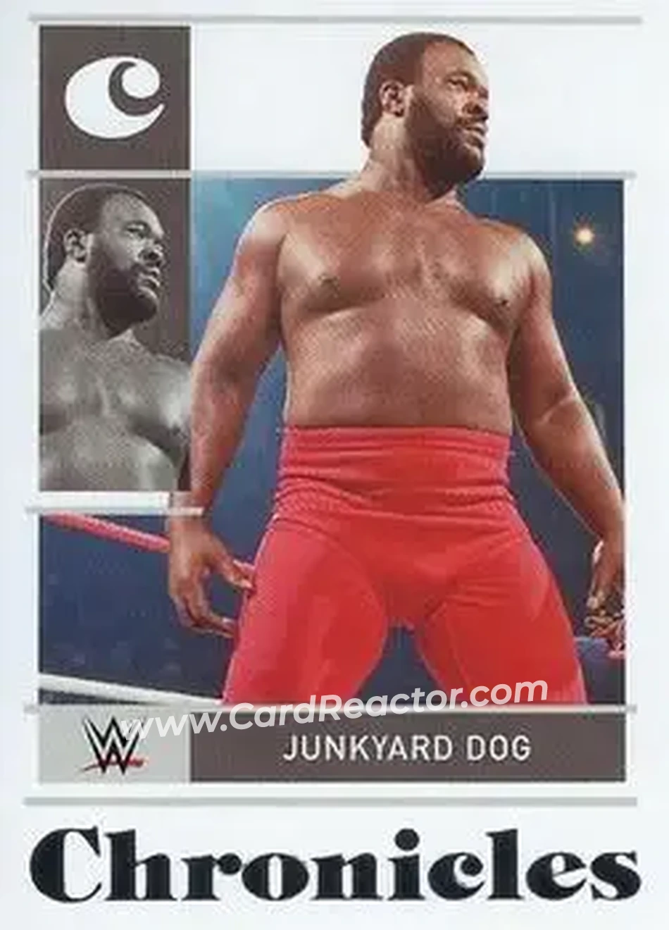 2022 Panini Chronicles WWE #14 - The Junkyard Dog