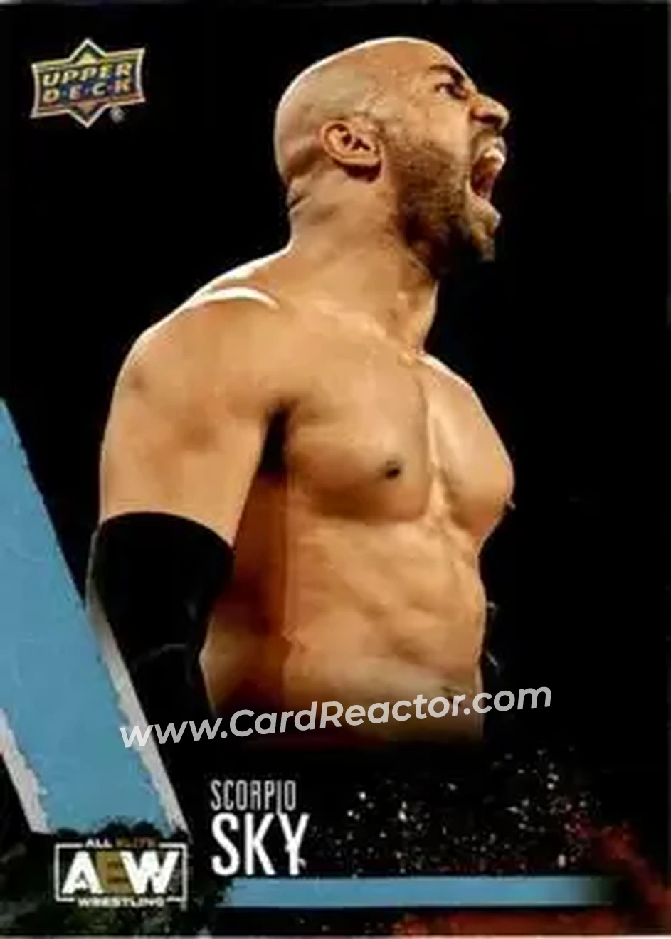2021 Upper Deck AEW #8 - Scorpio Sky