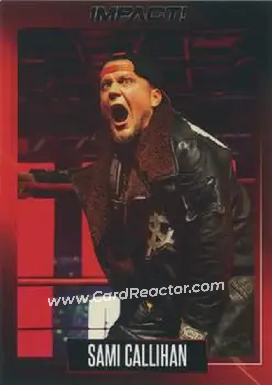 2021 Impact! Wrestling #18 - Sami Callihan