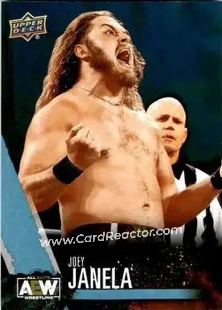 2021 Upper Deck AEW #12 - Joey Janela