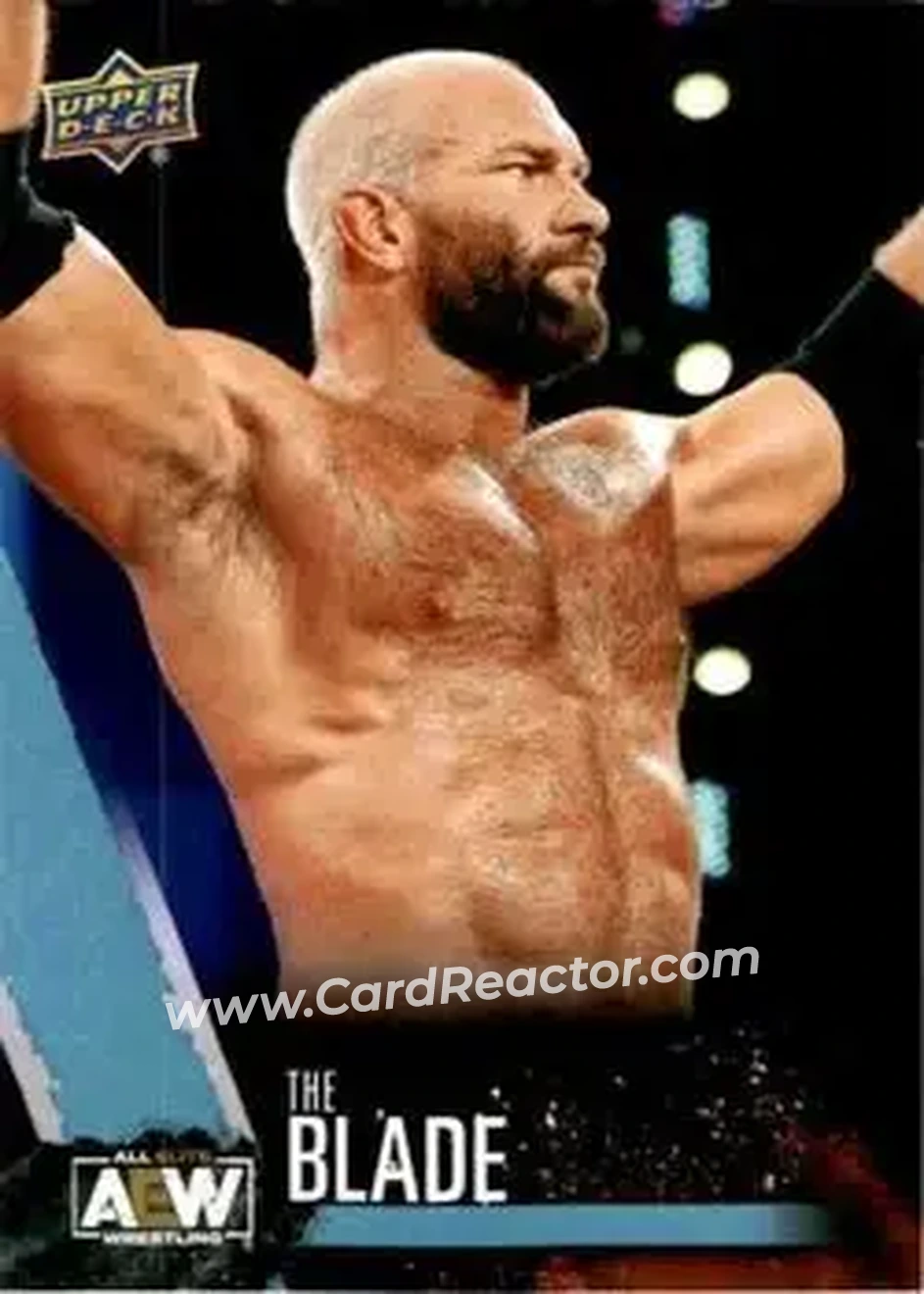 2021 Upper Deck AEW #17 - The Blade