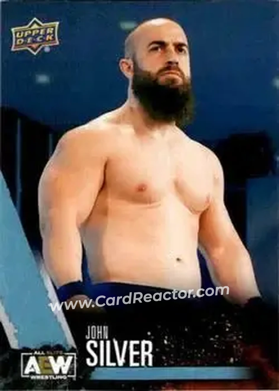 2021 Upper Deck AEW #18 - John Silver