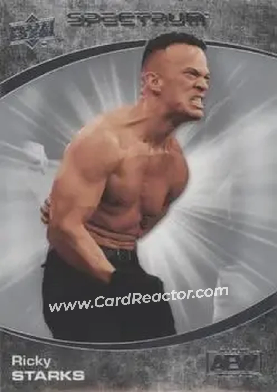 2021 Upper Deck Spectrum AEW #13 - Ricky Saints