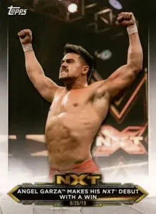 2020 Topps WWE NXT #3 - Angel