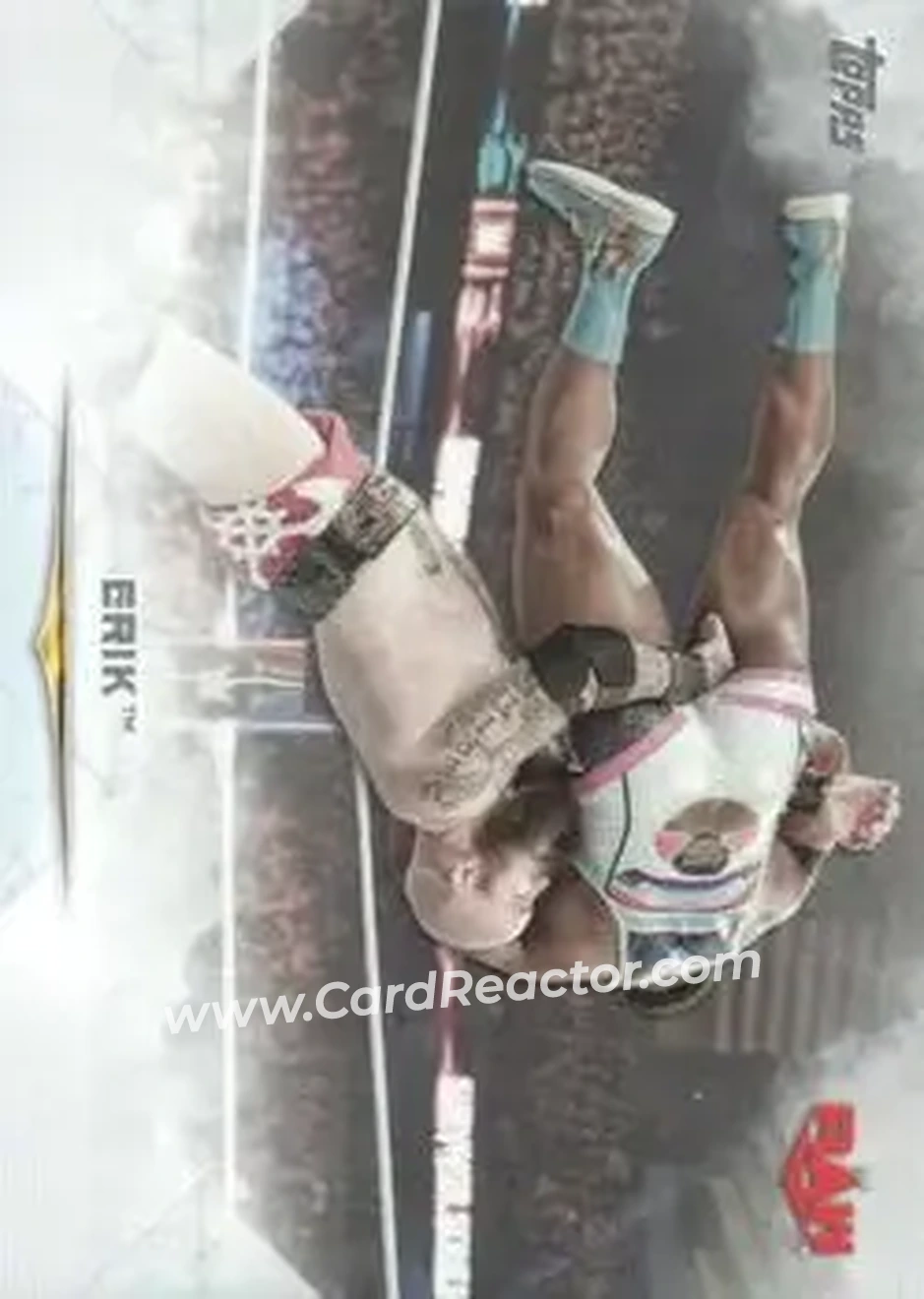 2020 Topps WWE Undisputed #11 - Erick Rowan