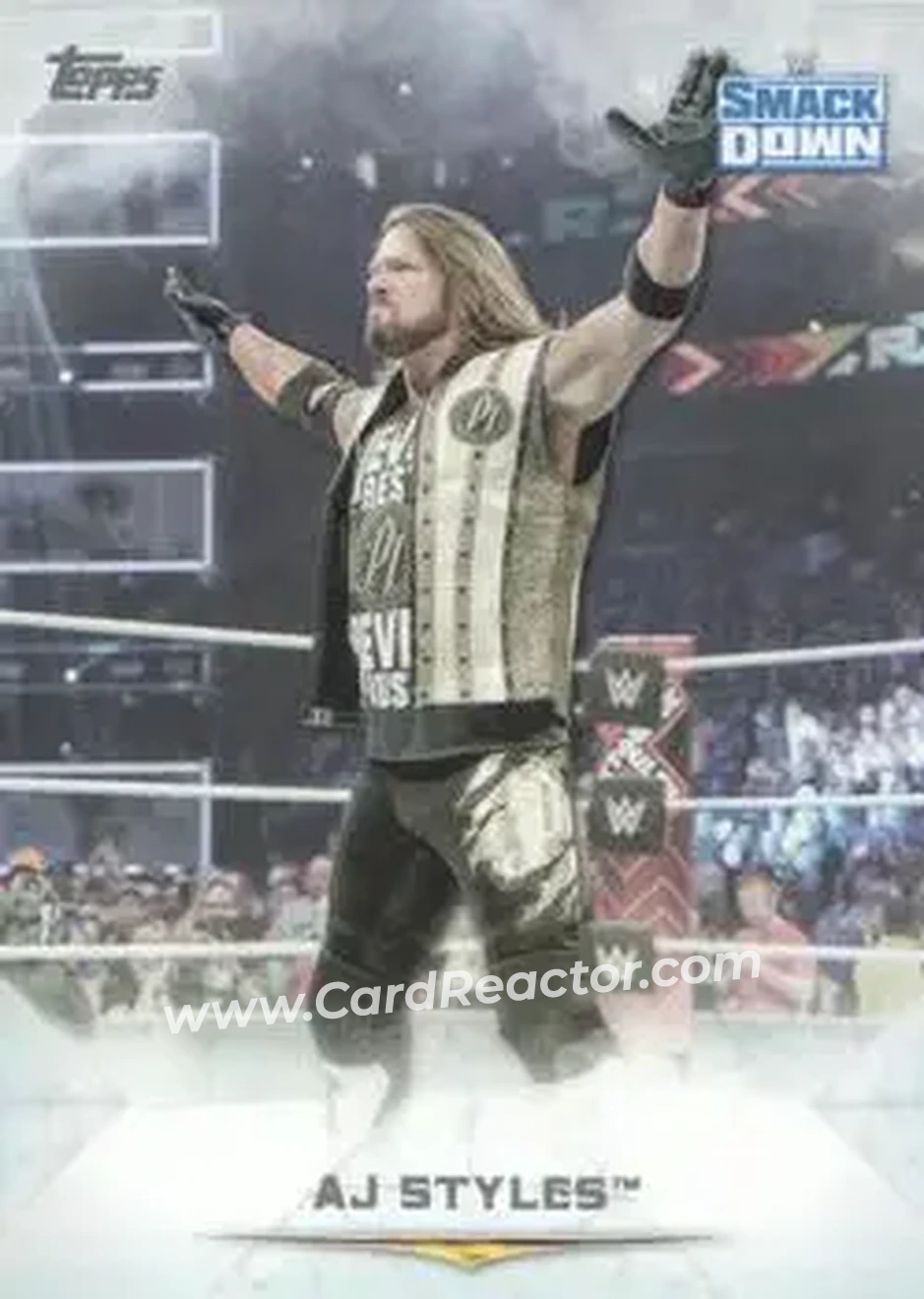2020 Topps WWE Undisputed #25 - AJ Styles