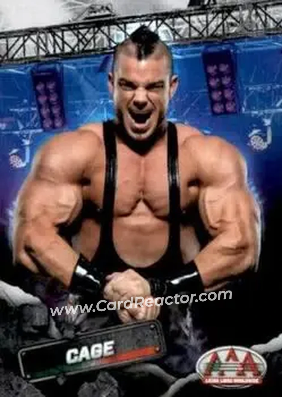 2019 Panini AAA Lucha Libre Worldwide #7 - Brian Cage
