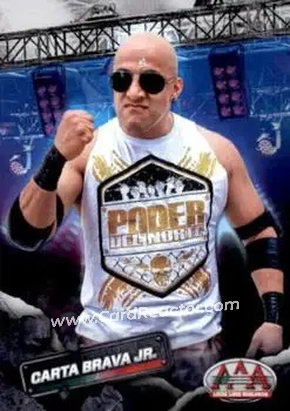 2019 Panini AAA Lucha Libre Worldwide #8 - Carta Brava Jr.