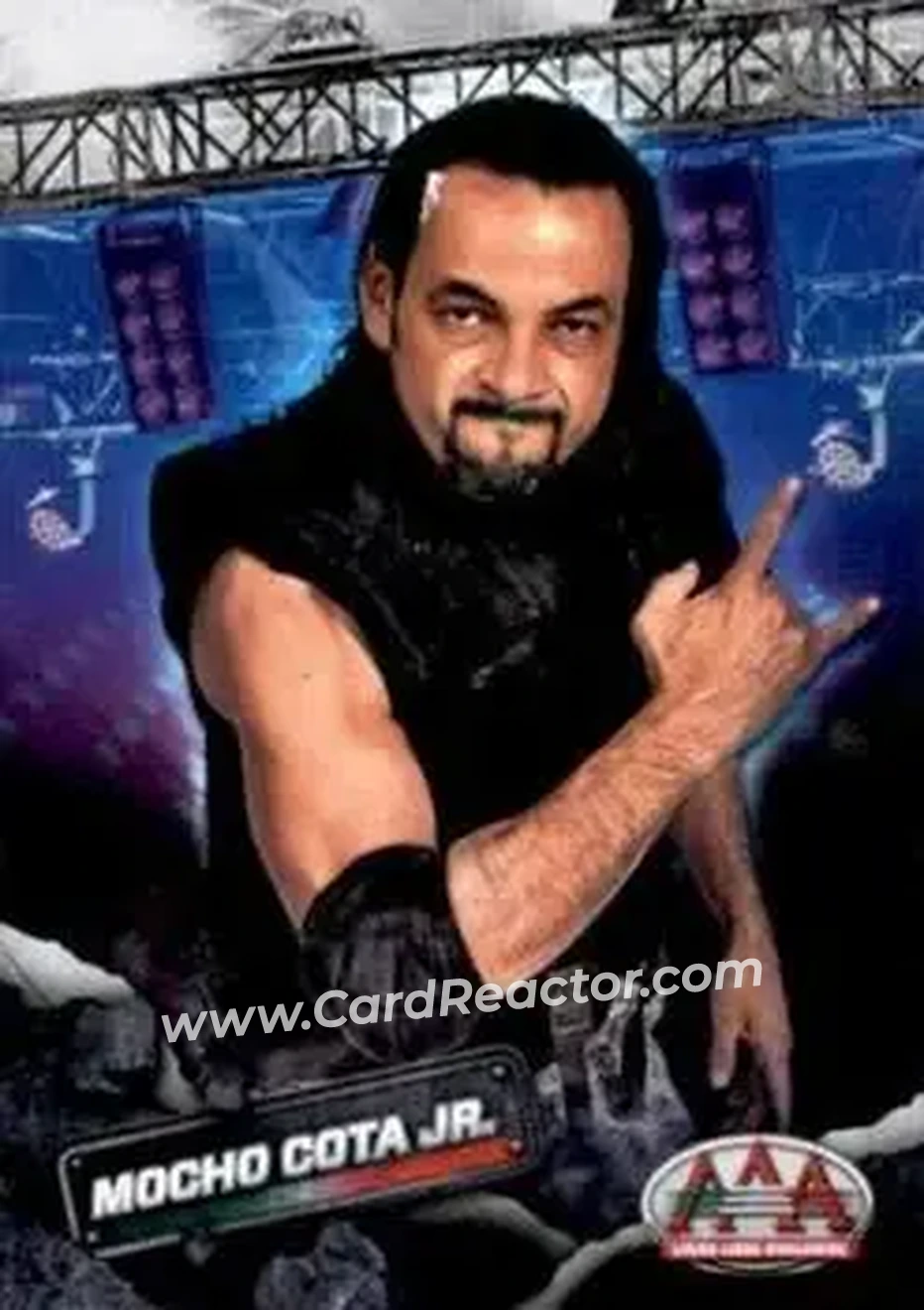 2019 Panini AAA Lucha Libre Worldwide #30 - Mocho Cota Jr.