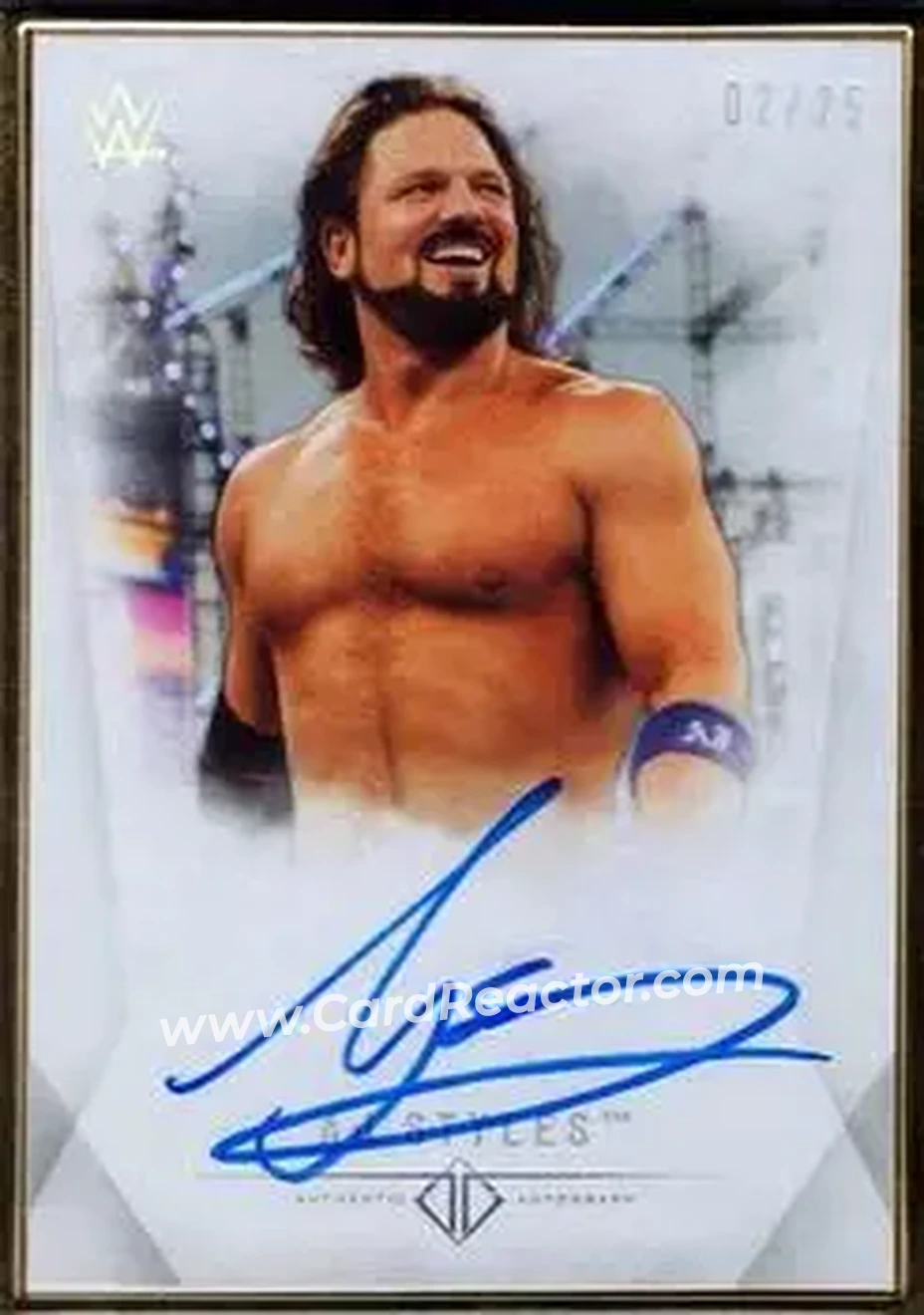 2019 Topps Transcendent Collection WWE #A-AJ - AJ Styles