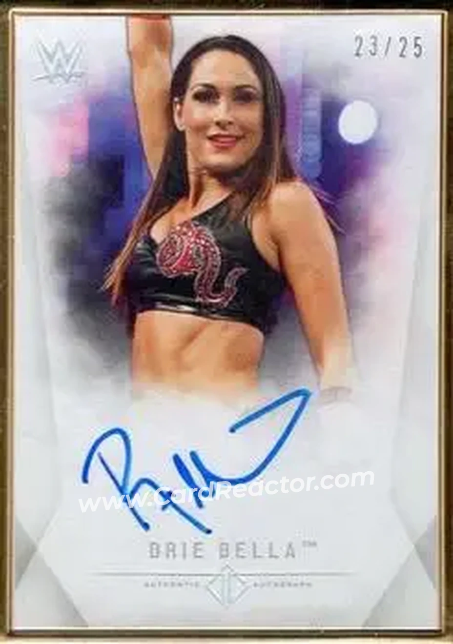 2019 Topps Transcendent Collection WWE #A-BB - Brie Bella