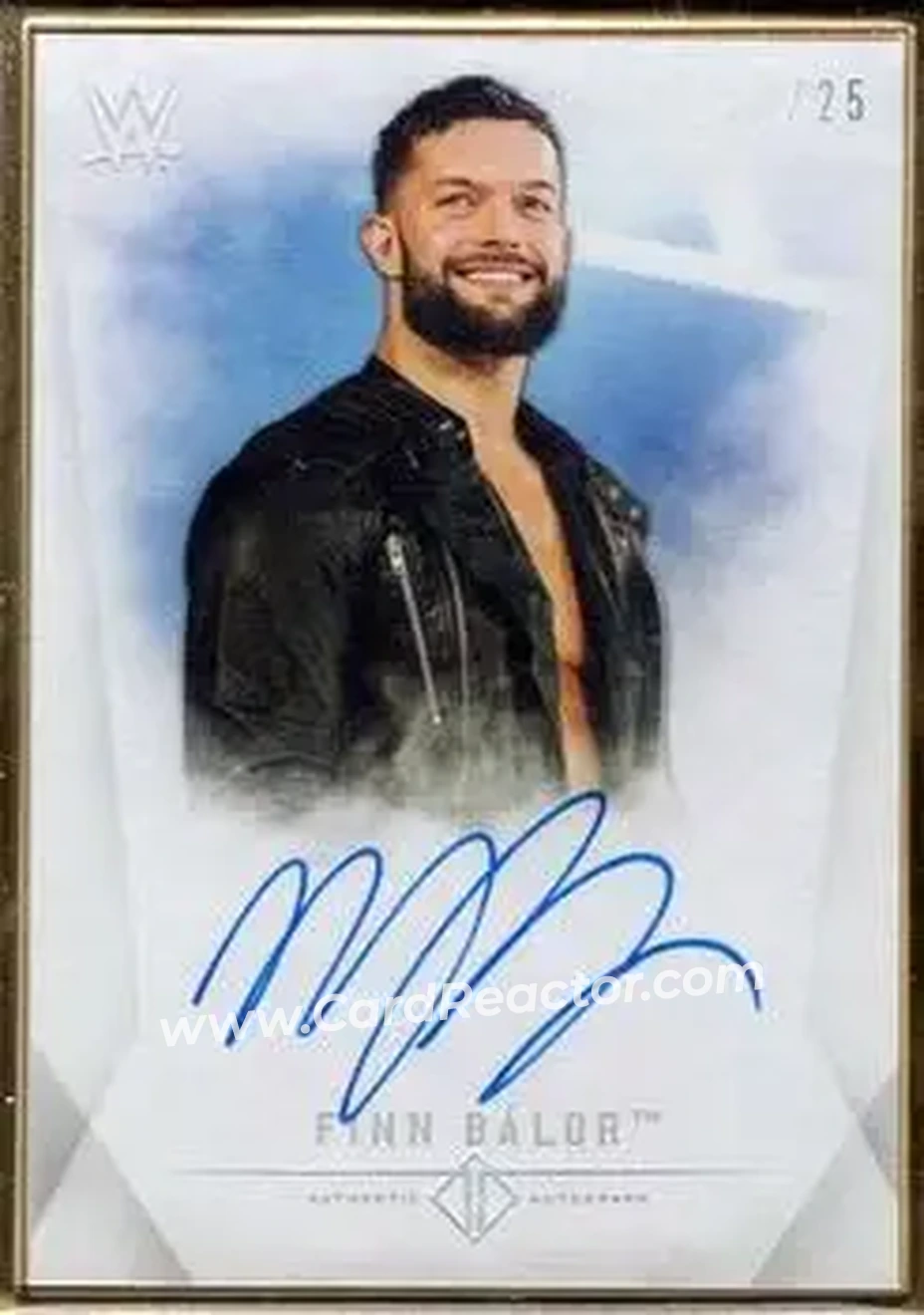 2019 Topps Transcendent Collection WWE #A-FB - Finn Bálor
