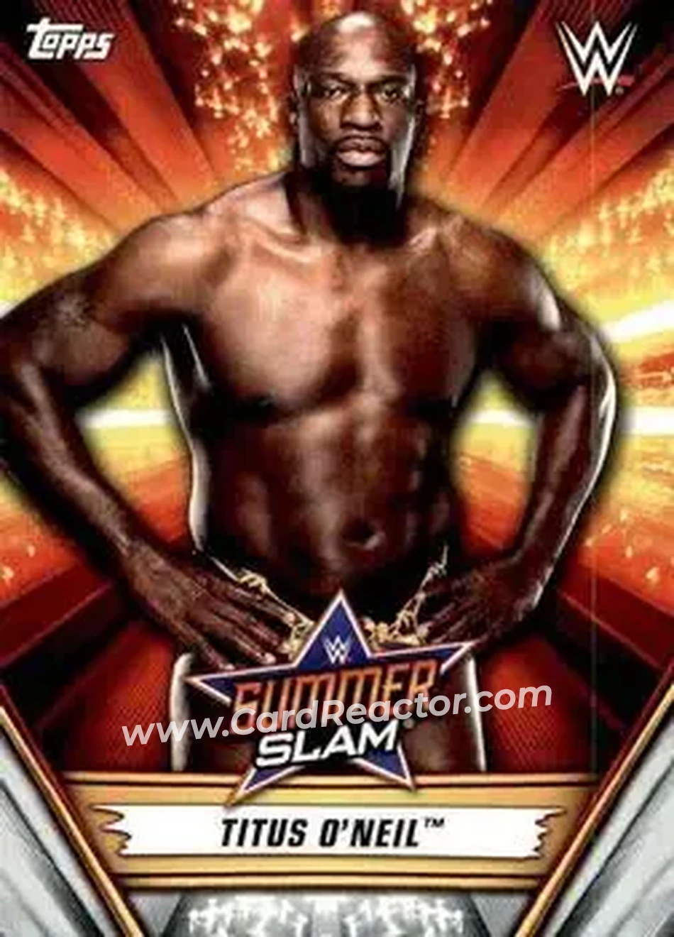 2019 Topps WWE SummerSlam #17 - Titus O'Neil