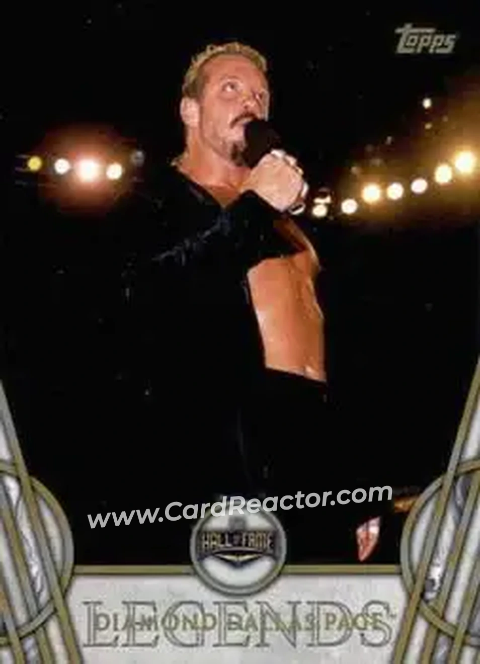 2018 Topps Legends of WWE #13 - Diamond Dallas Page