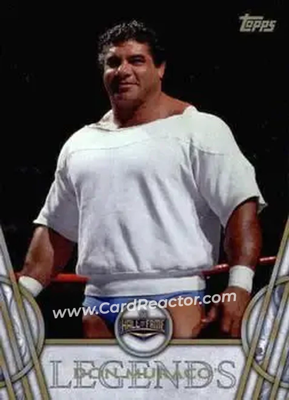 2018 Topps Legends of WWE #14 - The Magnificant Muraco