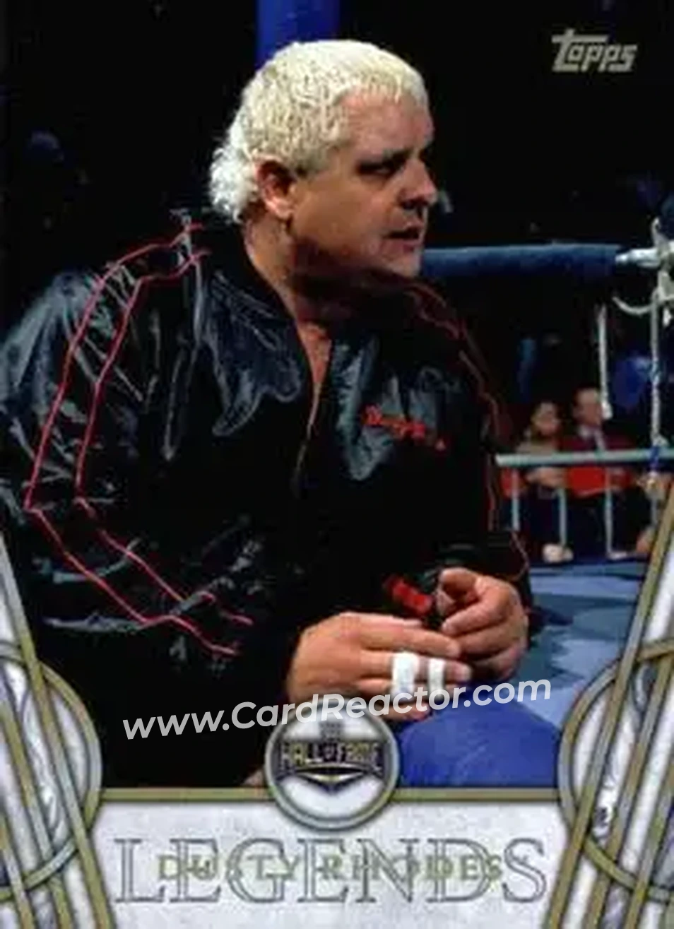 2018 Topps Legends of WWE #15 - Dusty Rhodes