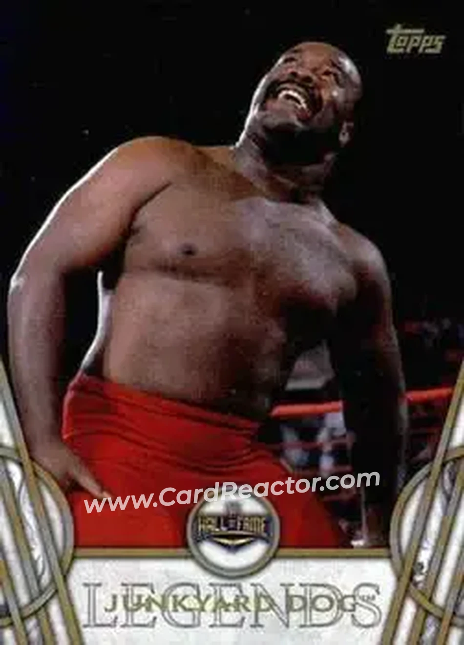 2018 Topps Legends of WWE #28 - The Junkyard Dog