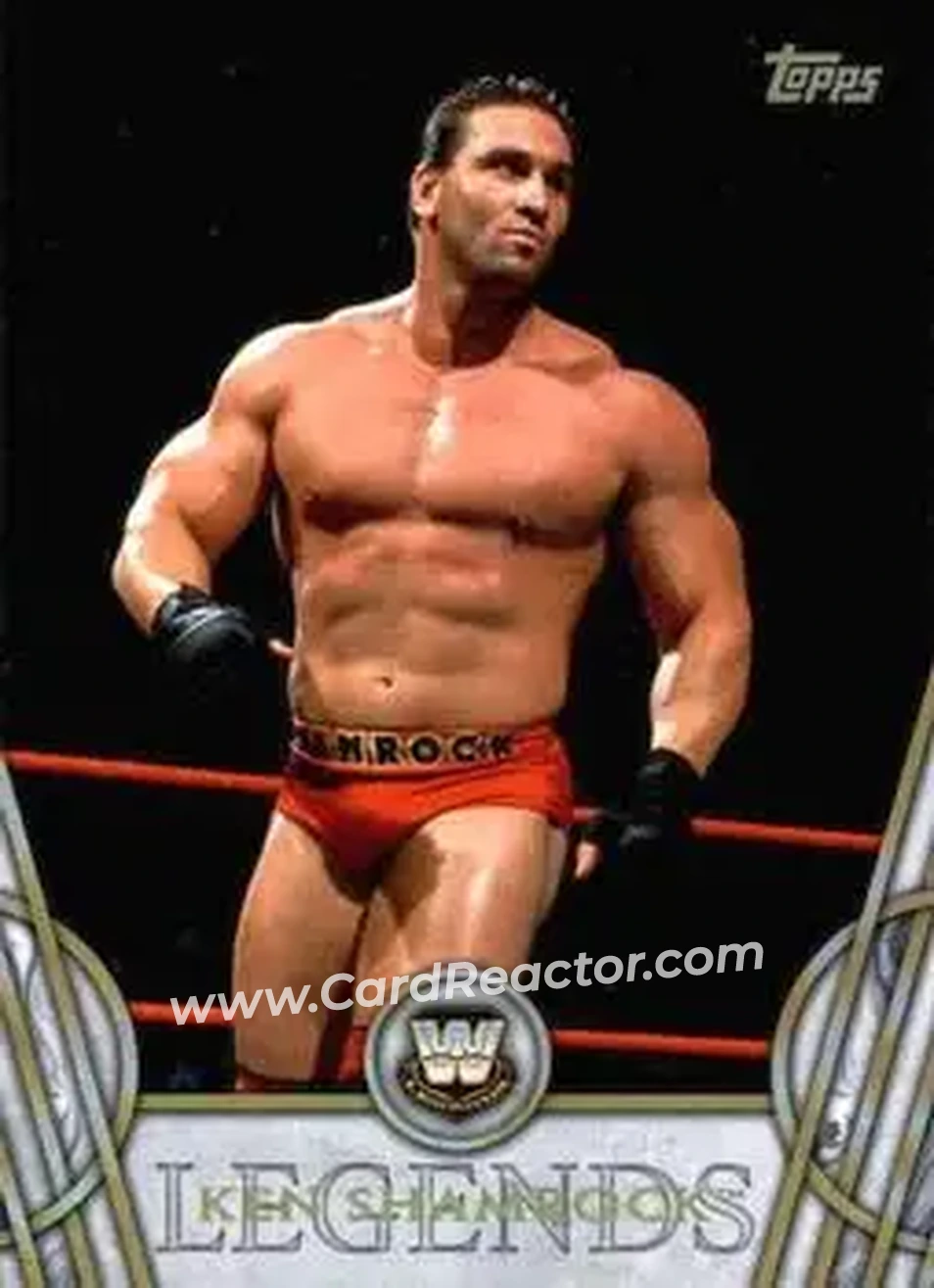 2018 Topps Legends of WWE #29 - Ken Shamrock