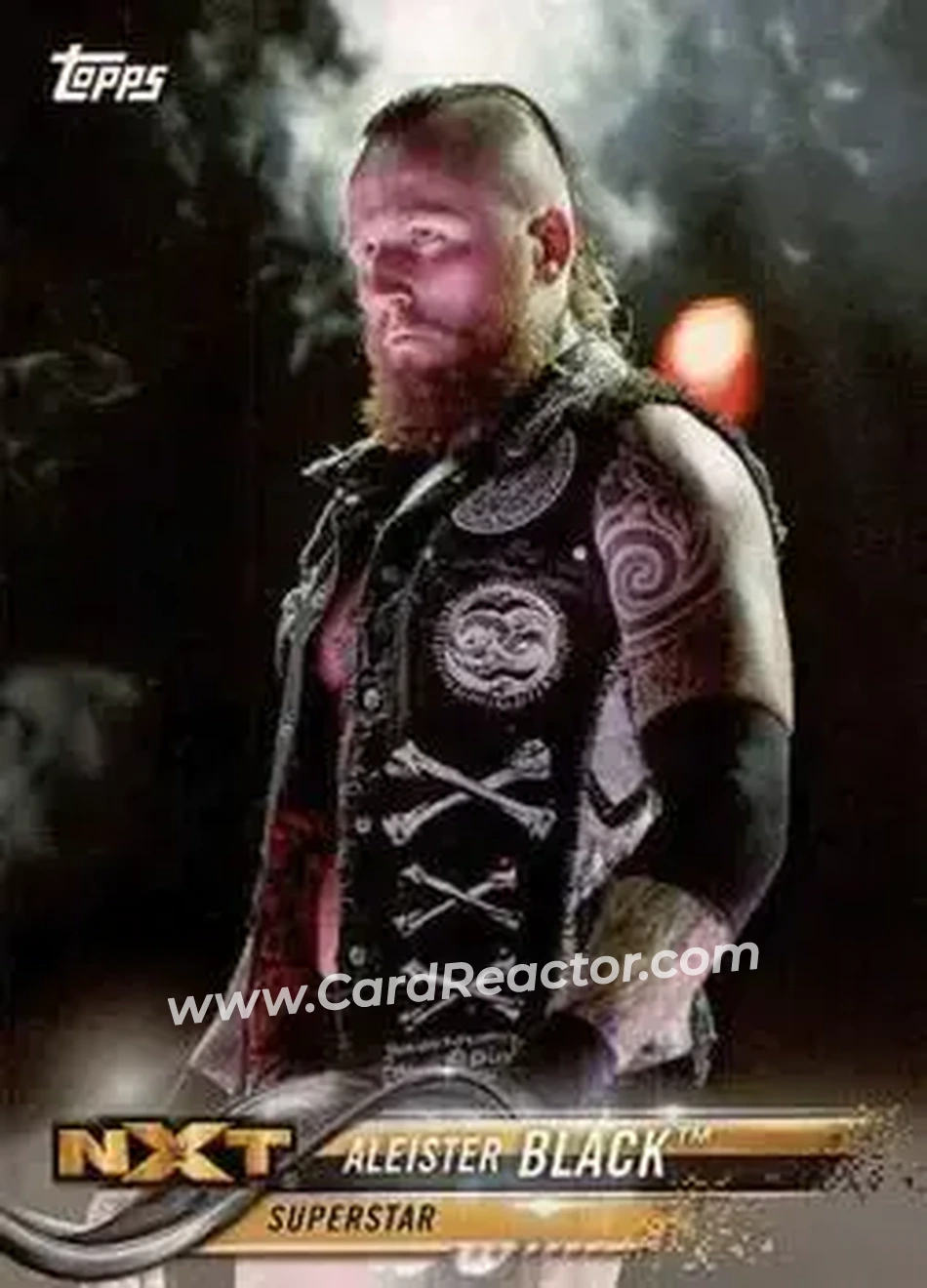 2018 Topps WWE #5 - Aleister Black