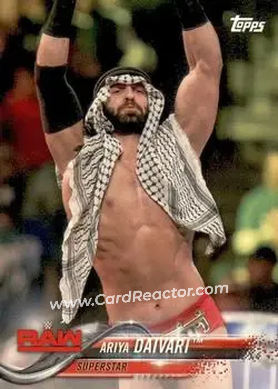 2018 Topps WWE #9 - Ariya Daivari
