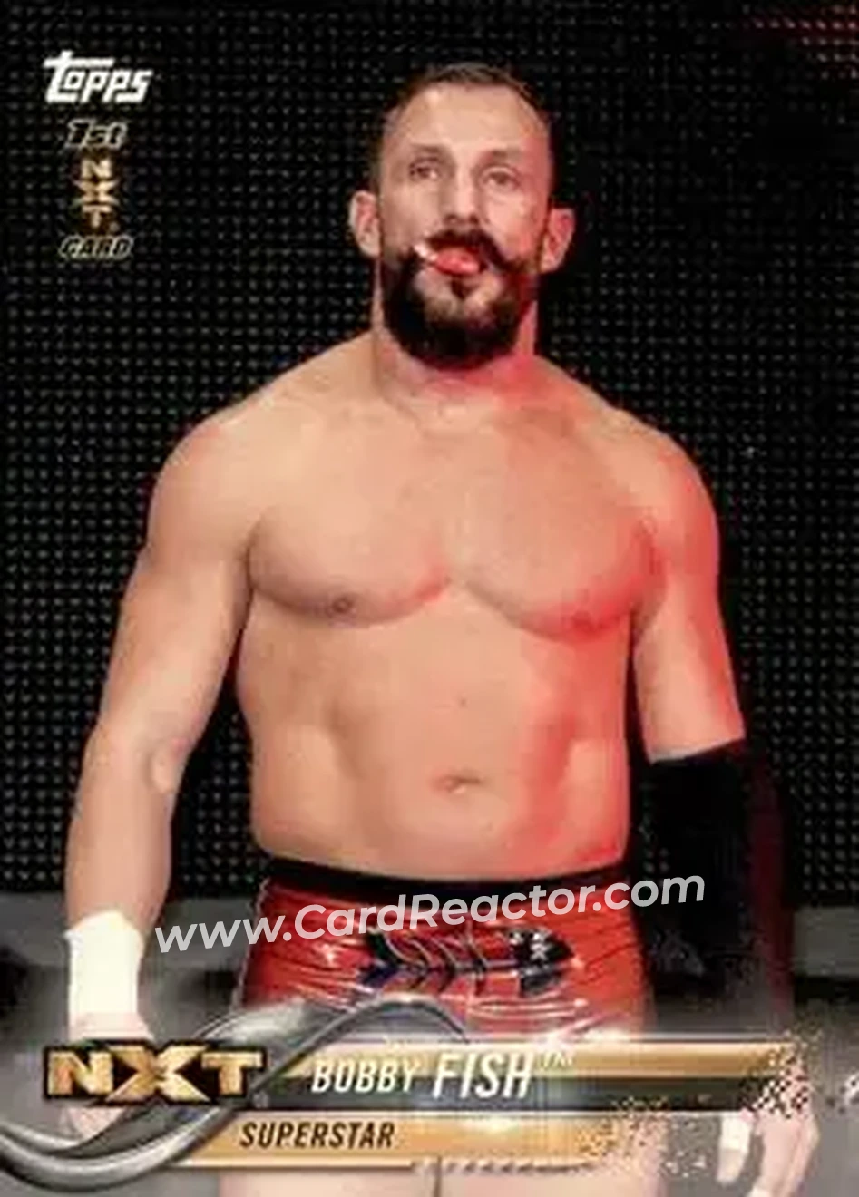 2018 Topps WWE #15 - Bobby Fish
