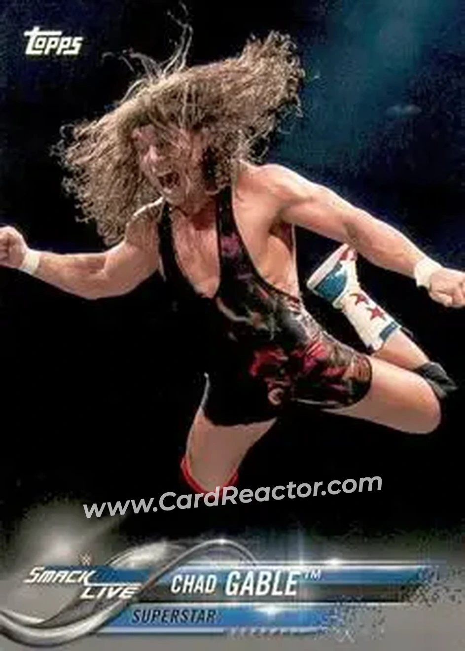 2018 Topps WWE #23 - Chad Gable
