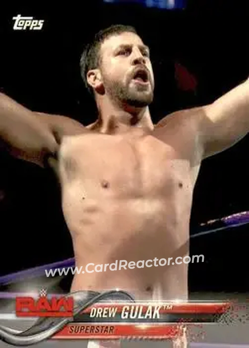 2018 Topps WWE #29 - Drew Gulak
