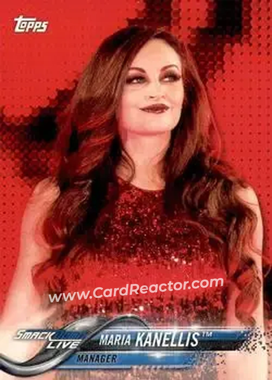 2018 Topps WWE #53 - Maria Kanellis