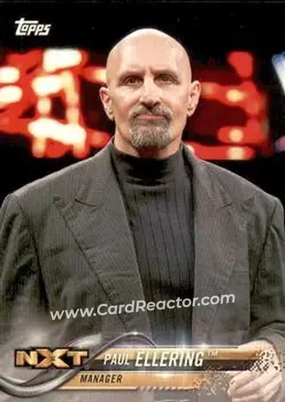2018 Topps WWE #72 - Paul Ellering