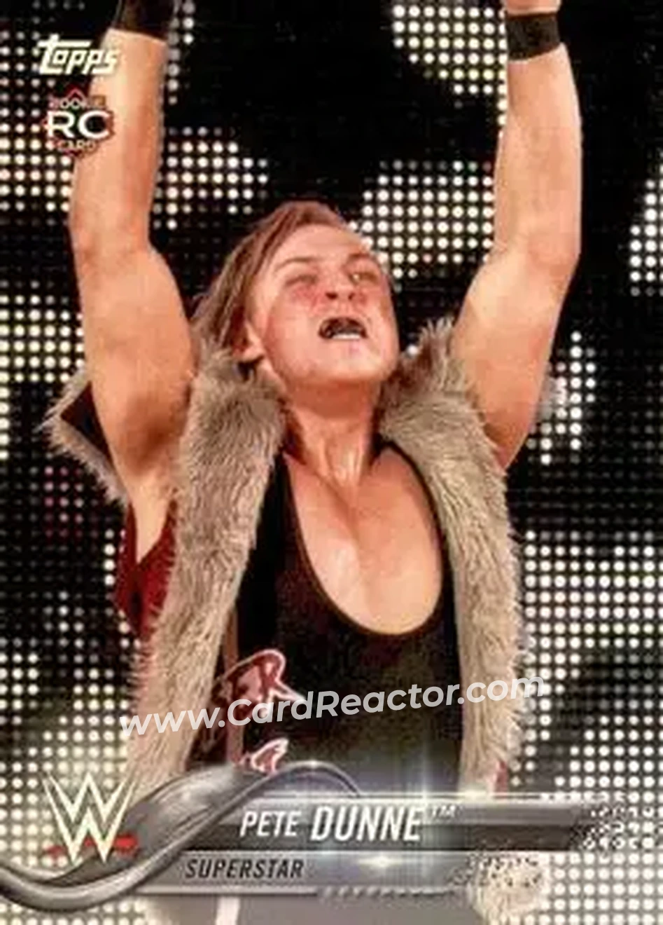 2018 Topps WWE #74 - Pete Dunne