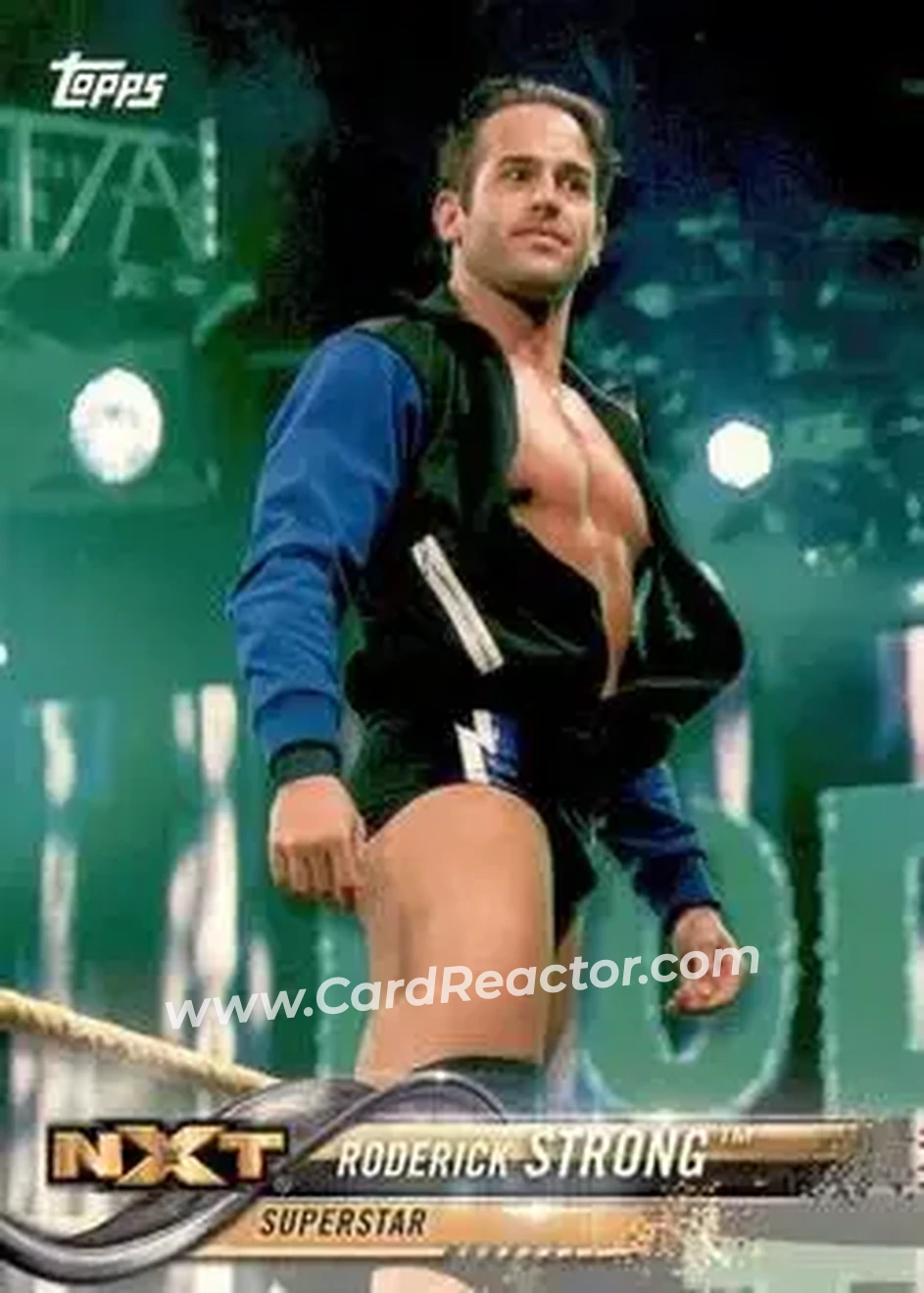 2018 Topps WWE #80 - Roderick Strong