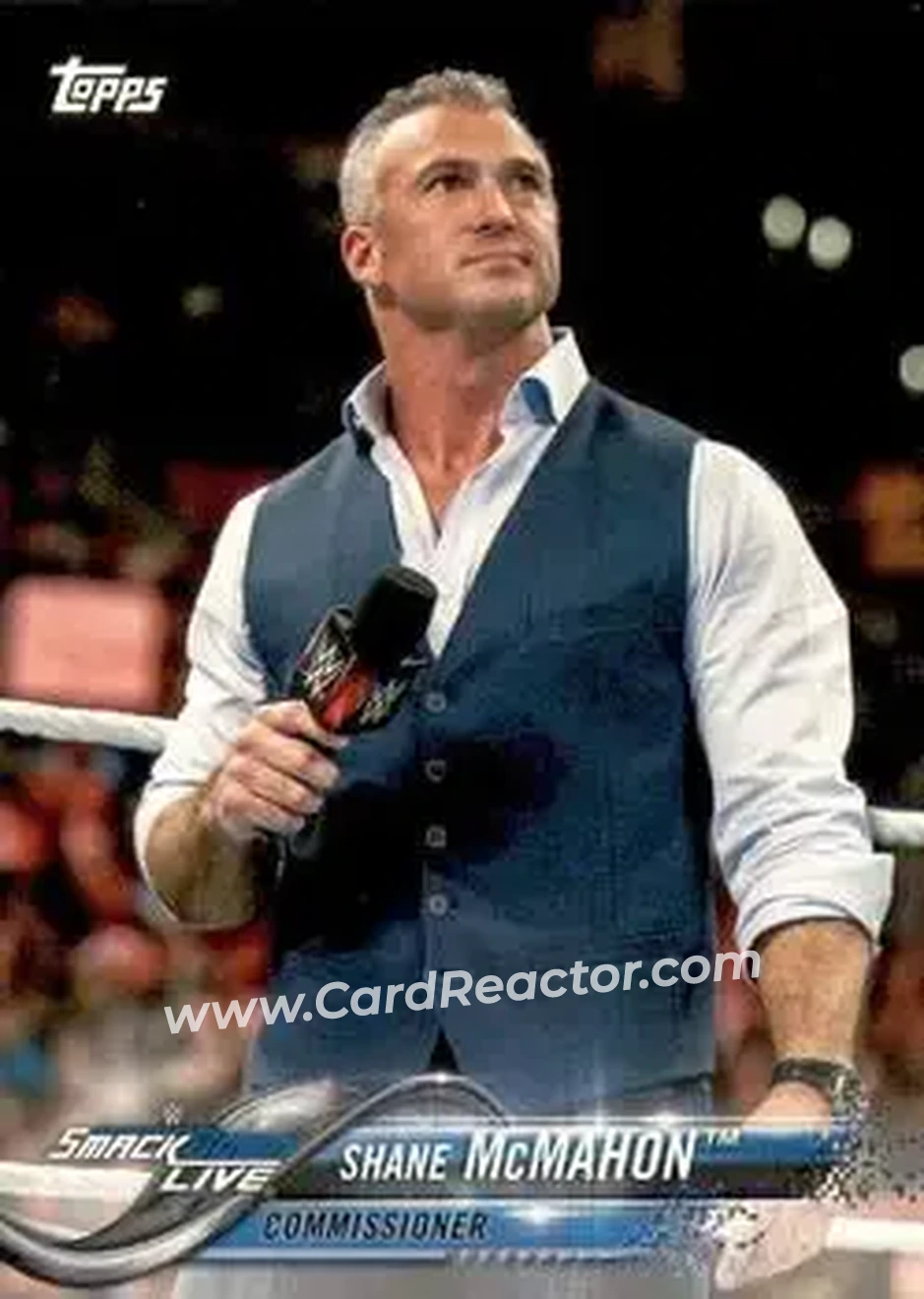 2018 Topps WWE #82 - Shane McMahon