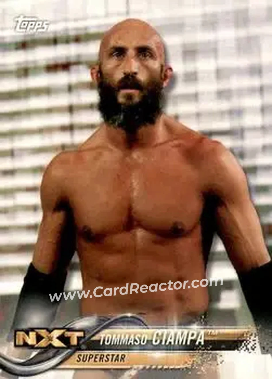 2018 Topps WWE #91 - Tommaso Ciampa