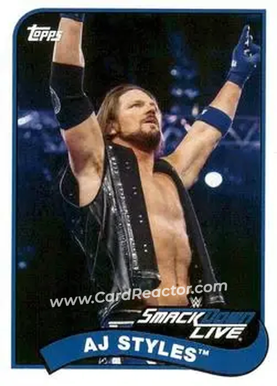 2018 Topps WWE Heritage #1 - AJ Styles