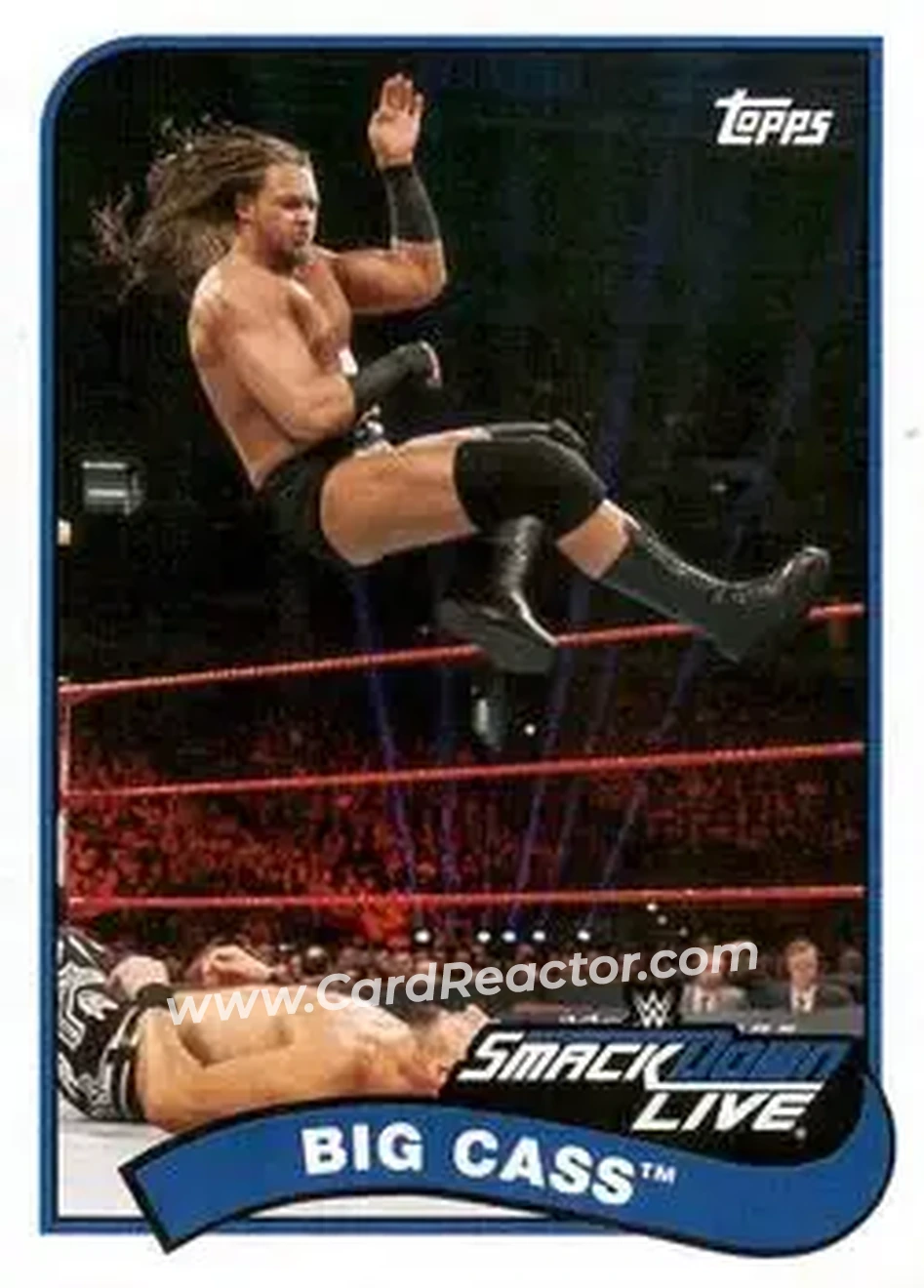 2018 Topps WWE Heritage #11 - Big Bill
