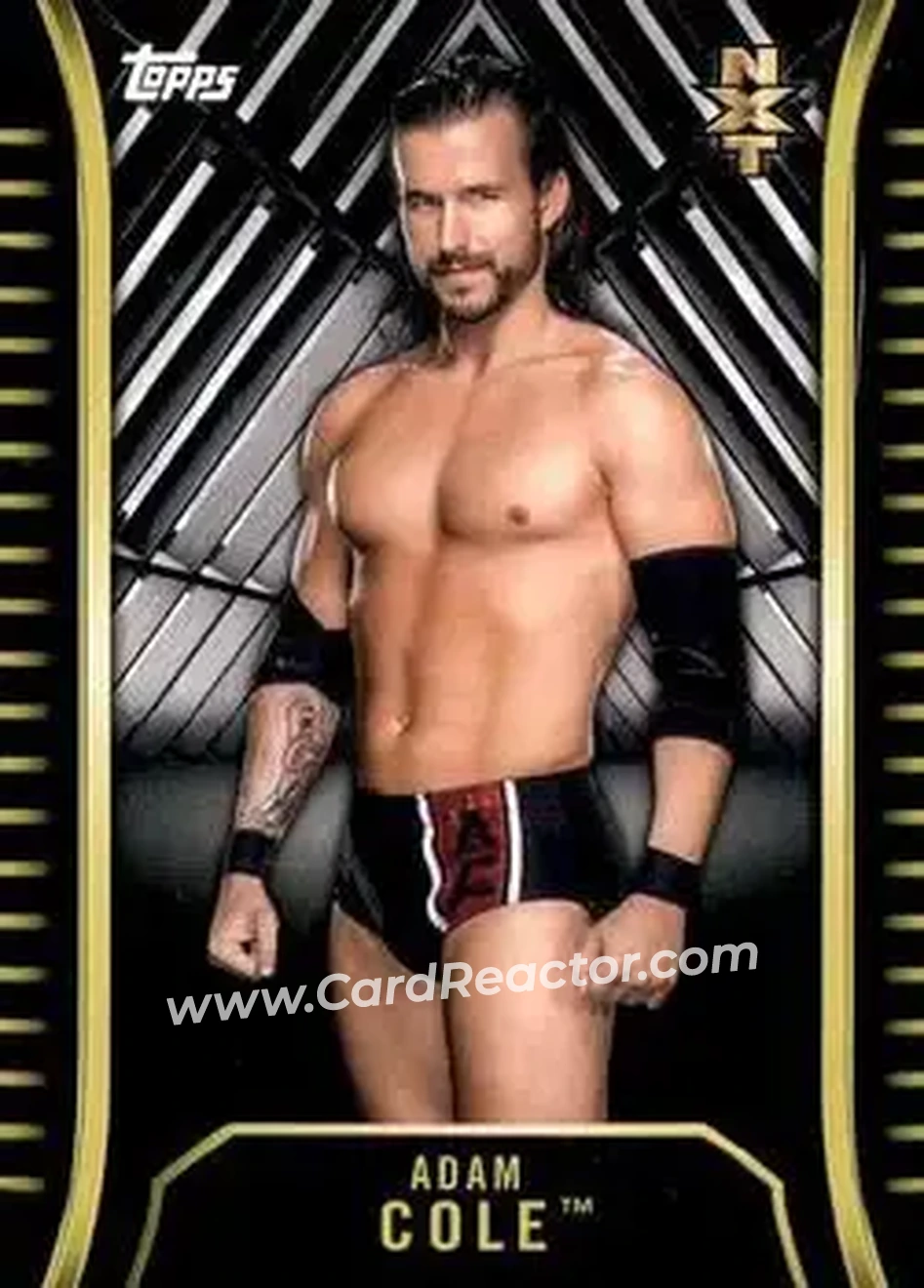 2018 Topps WWE NXT #R-1 - Adam Cole