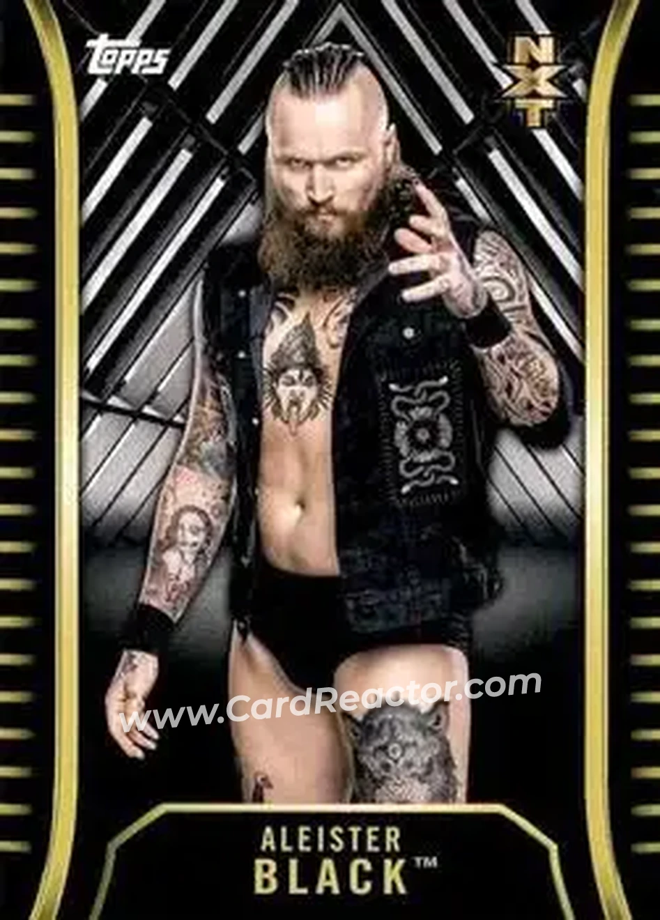 2018 Topps WWE NXT #R-3 - Aleister Black