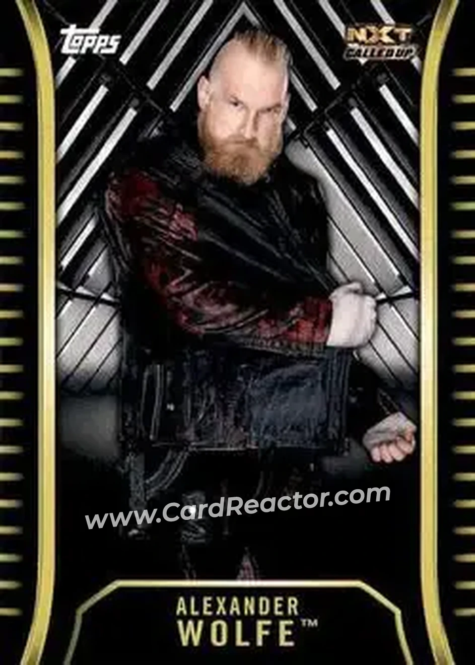 2018 Topps WWE NXT #R-4 - Alexander Wolfe