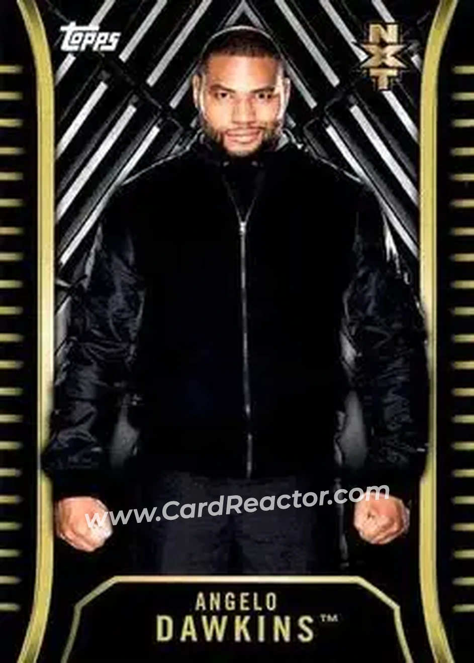 2018 Topps WWE NXT #R-6 - Angelo Dawkins
