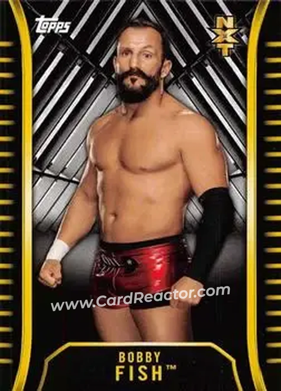 2018 Topps WWE NXT #R-7 - Bobby Fish