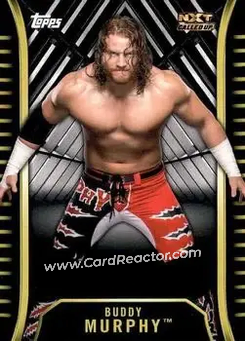 2018 Topps WWE NXT #R-8 - Buddy Matthews