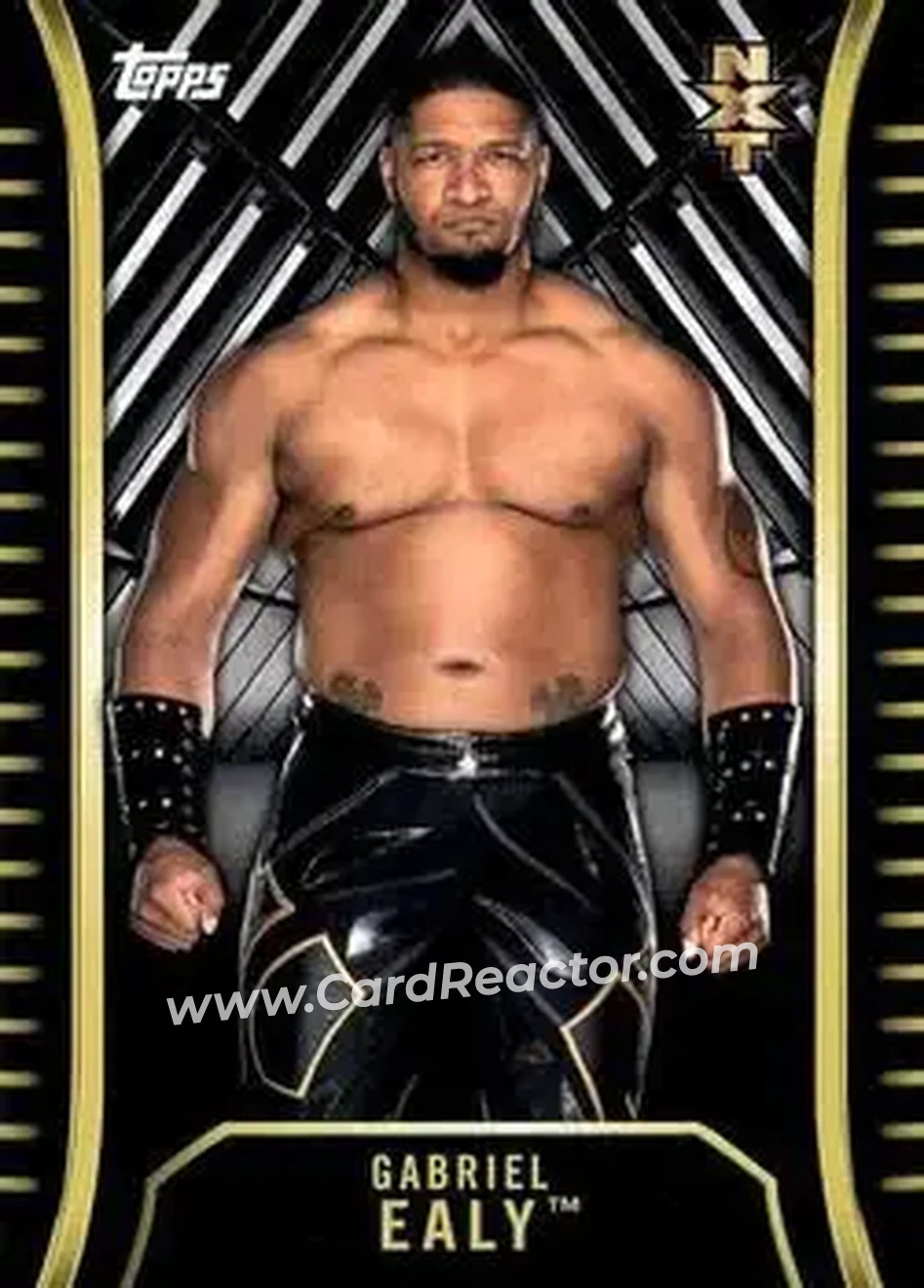 2018 Topps WWE NXT #R-13 - Gabriel Ealy
